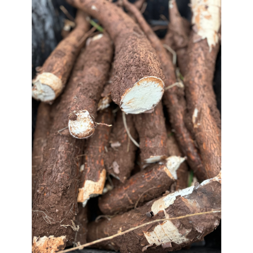 Manioka (Cassava) Flour – 12 oz | Hawaiian-Grown Gluten-Free Flour